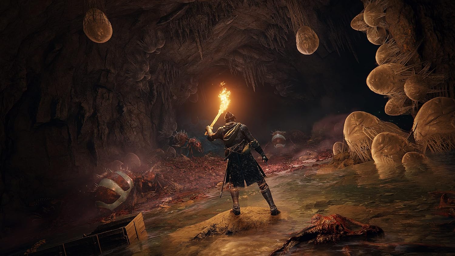 Elden Ring (Xbox Series X)