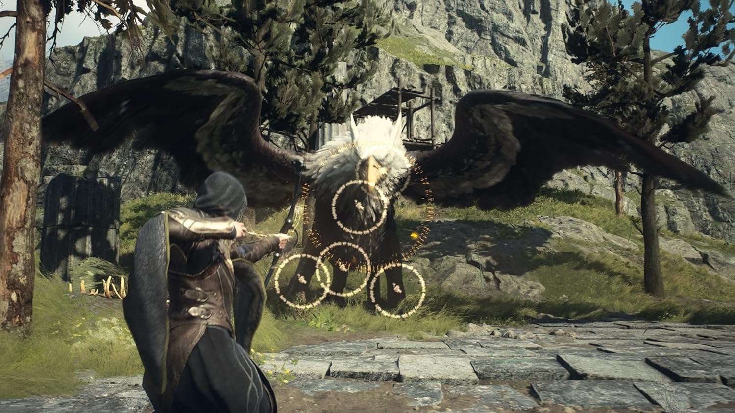 Dragon's Dogma II (PS5)