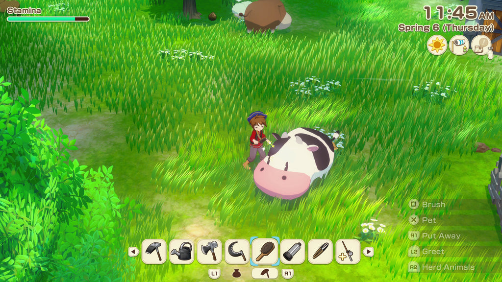 STORY OF SEASONS: Grand Bazaar (PS5)